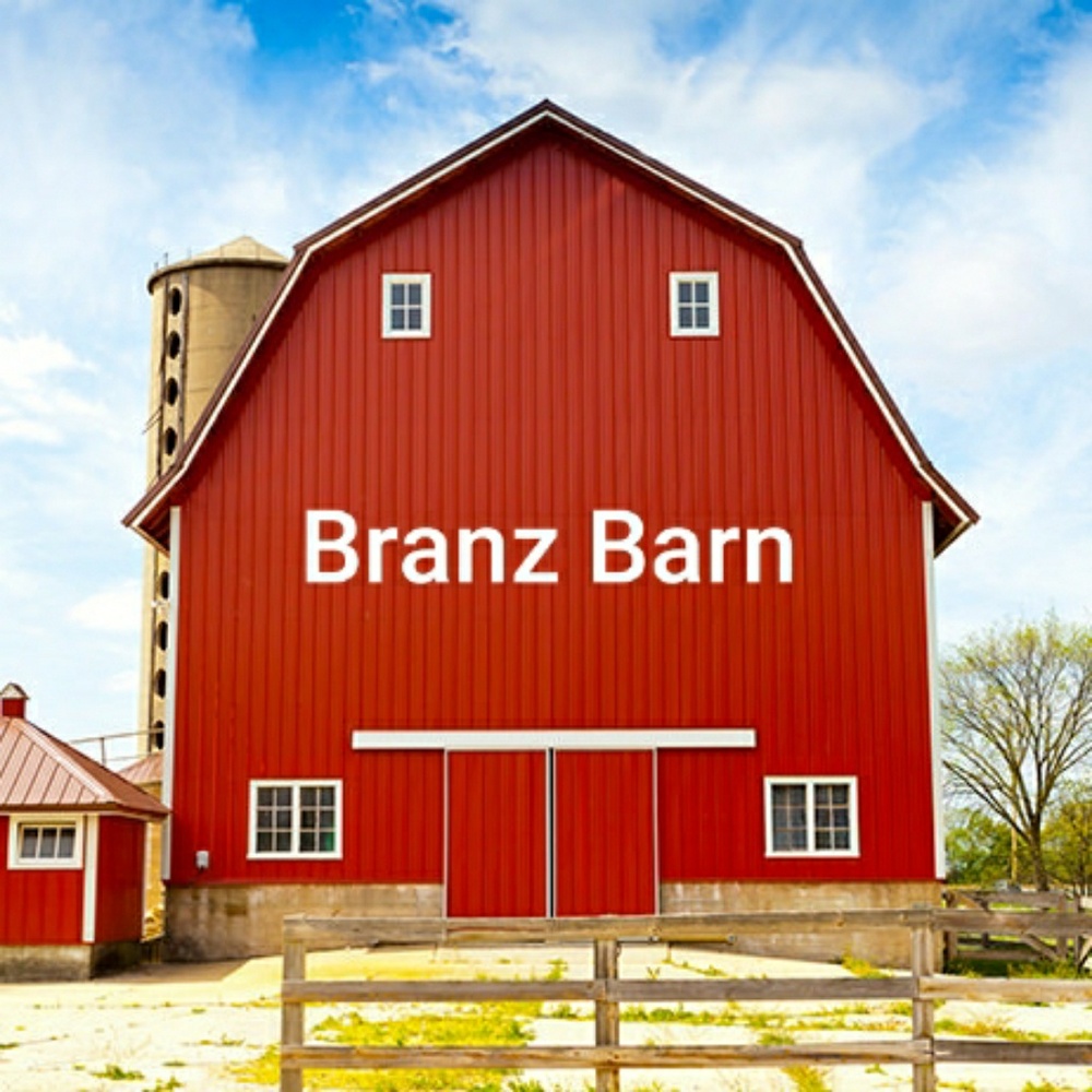 Meet your Posher, Bran
